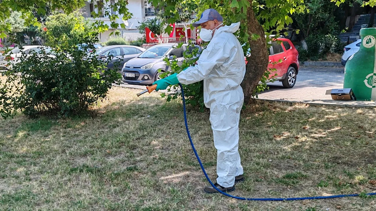 İBB'den kene mücadelesi: Hızla müdahale ile halk sağlığı korunuyor