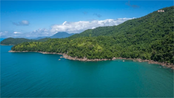 Kıyı kenar çizgisinin deniz tarafındaki ormanlık alanlar turizme açıldı