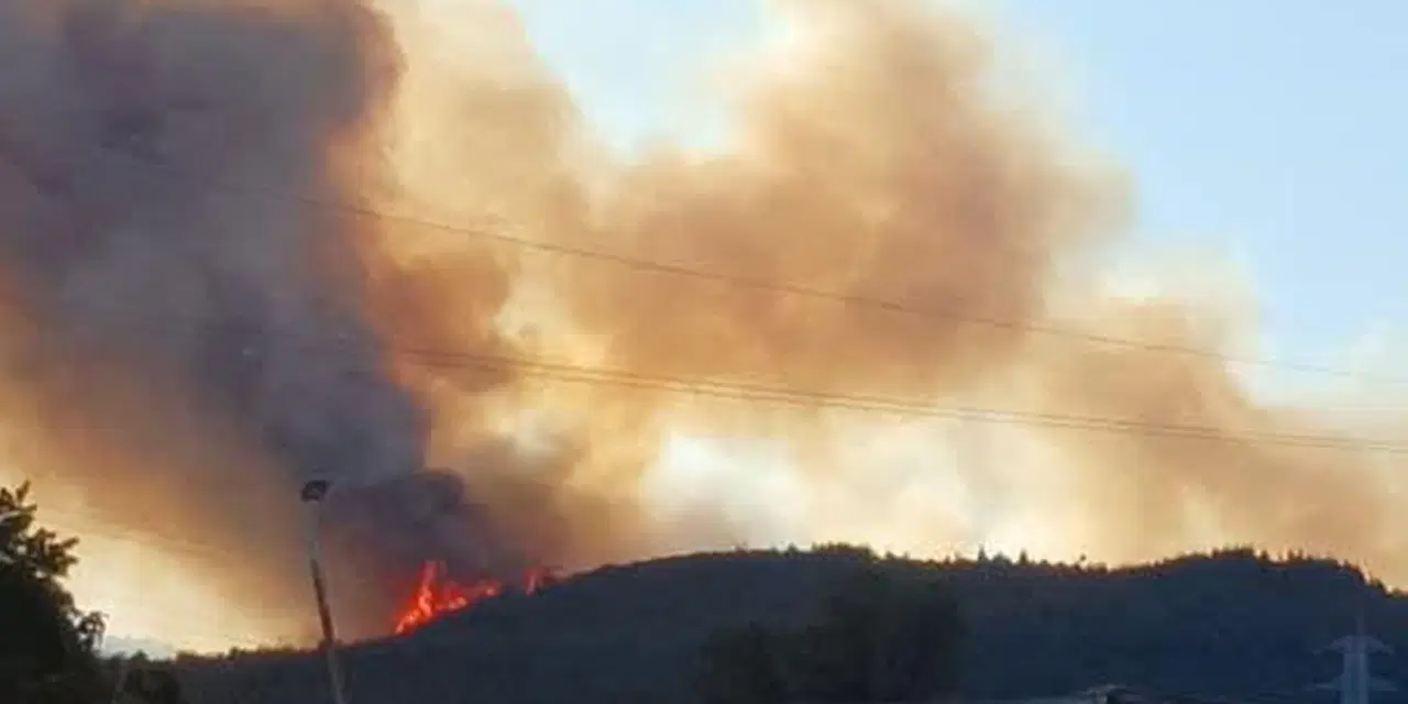 Aliağa'da ikinci orman yangını! Faili tespit edildi