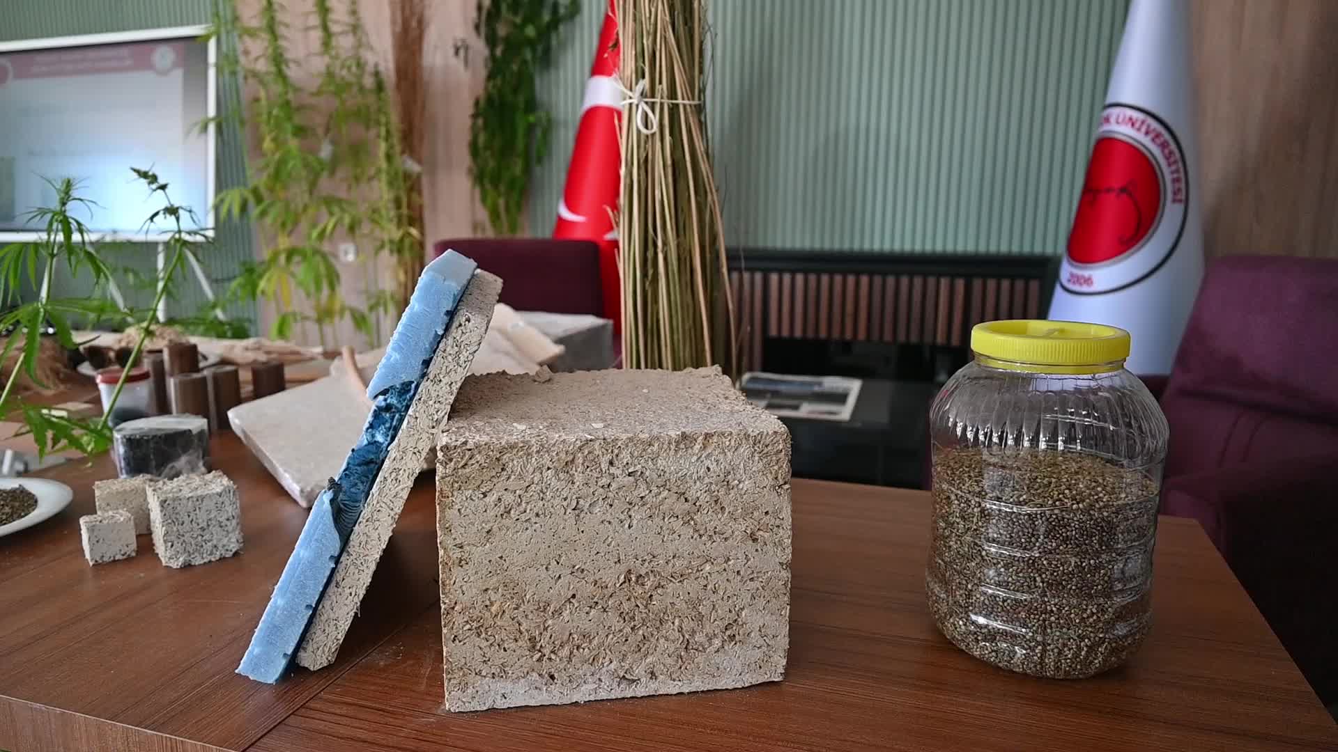 Endüstriyel kenevirle sağlıklı, dayanıklı, doğal, antibakteriyel ürünler