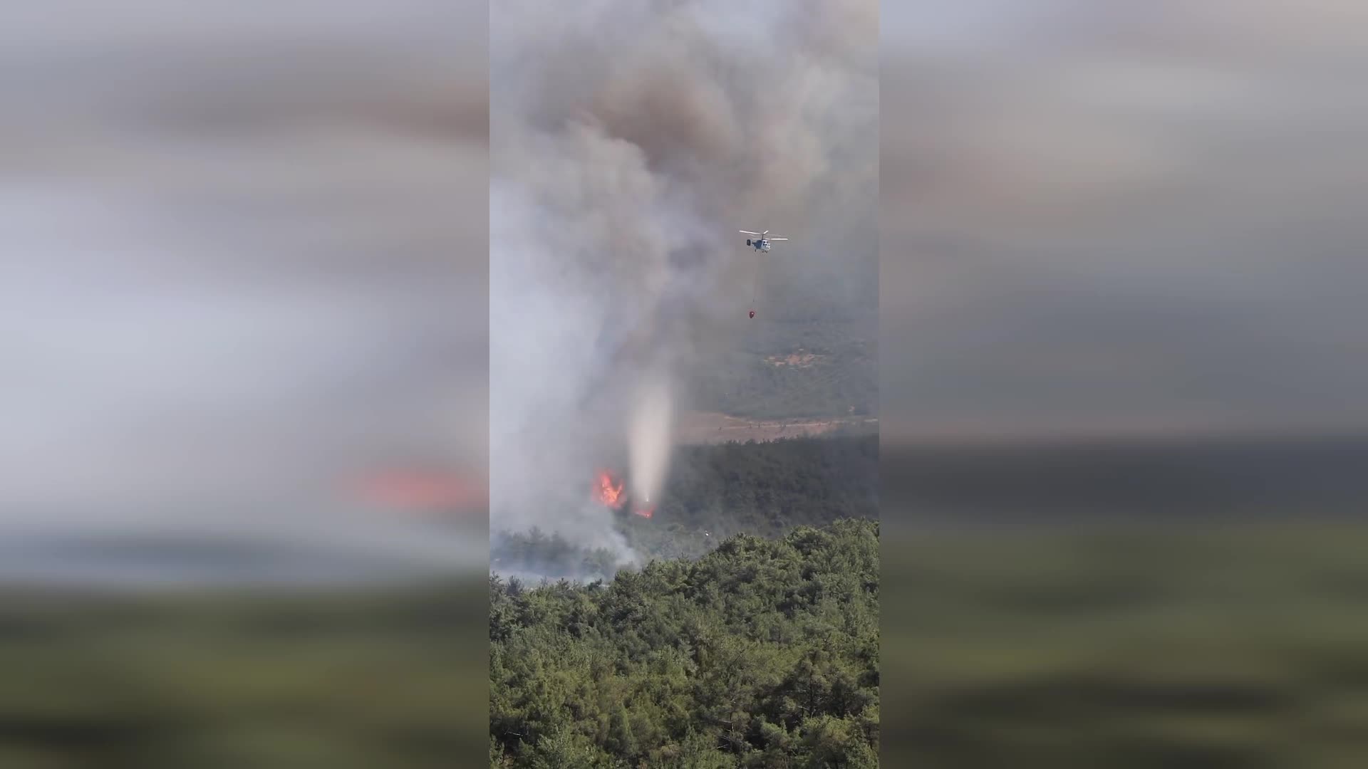 İletişim Başkanlığı'ndan orman yangınlarına ilişkin açıklama