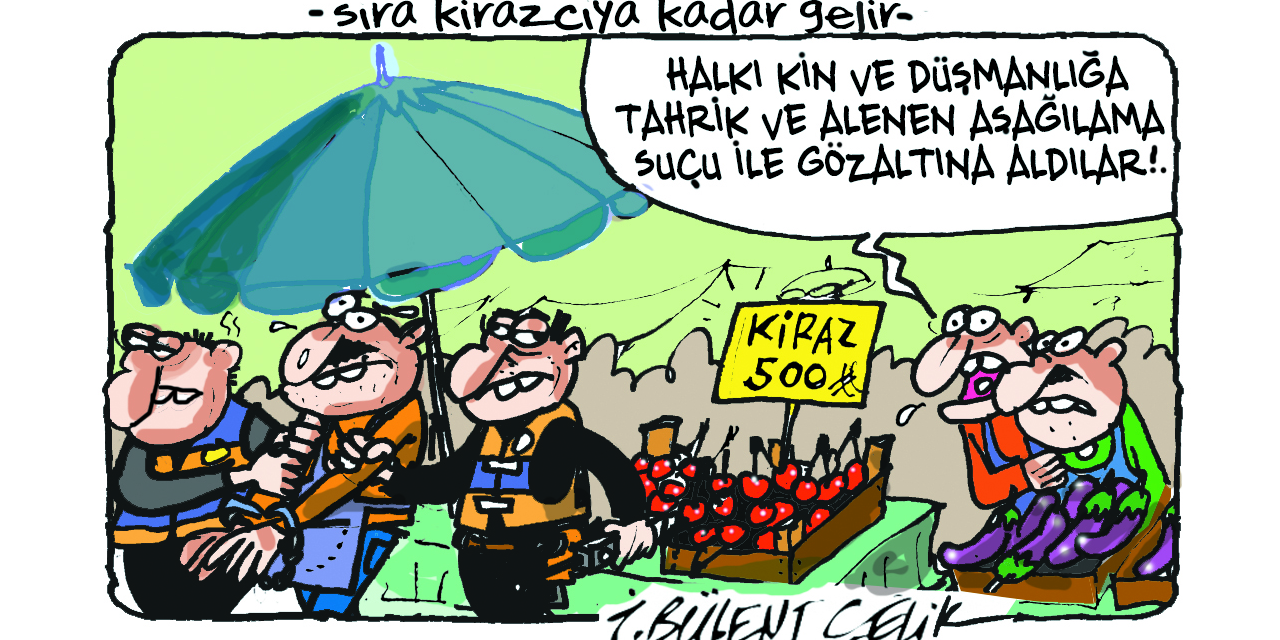 İ. Bülent Çelik'in 30 Haziran 2025 tarihli karikatürü