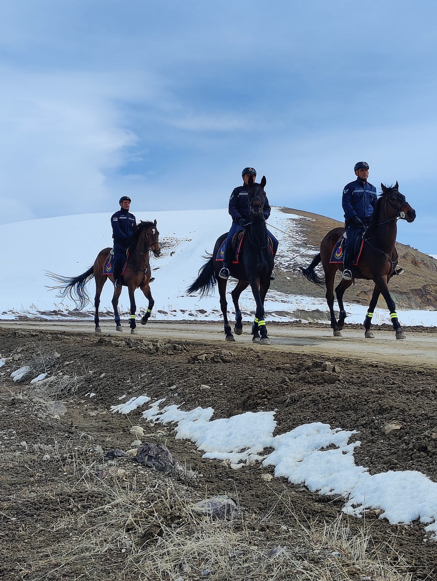 Jandarmanın atlı birliklerinin de katıldığı operasyonda 108 kaçak göçmen yakalandı