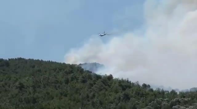 Orman yangını can aldı: Ödemiş'te 81 yaşında bir vatandaş vefat etti