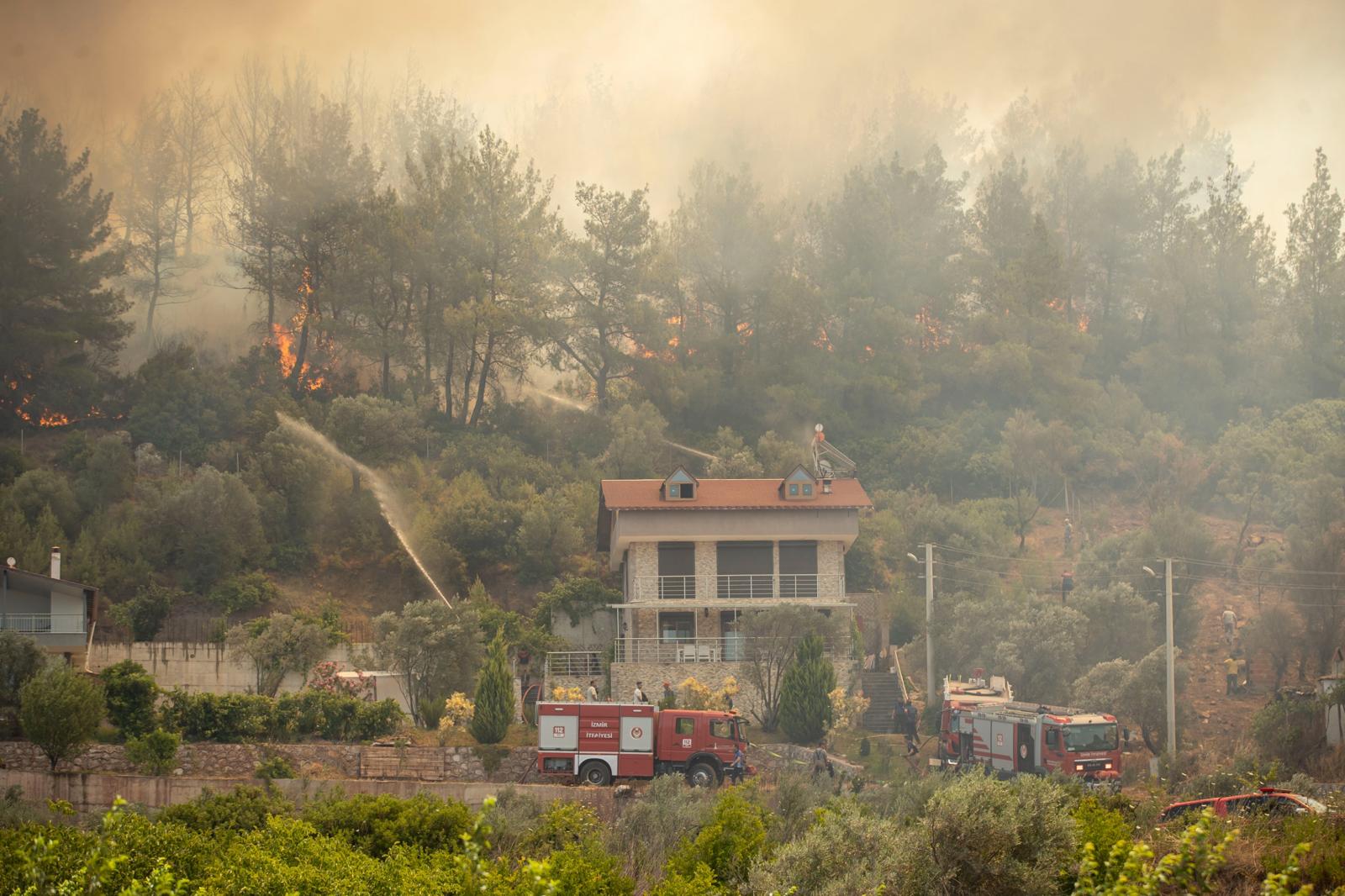 İzmir'de son 2 gündeki 9 orman yangınından 8'i insan kaynaklı