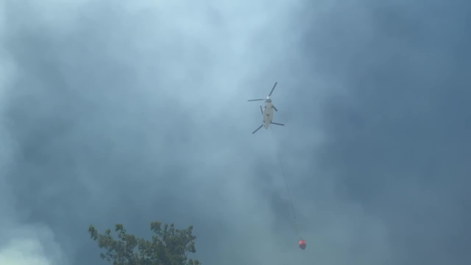 İzmir Buca'da orman yangını
