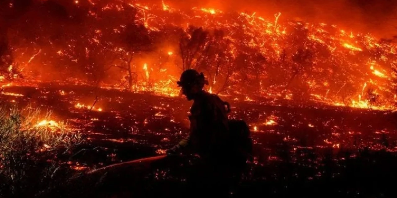 Türkiye genelindeki yangınların bilançosu