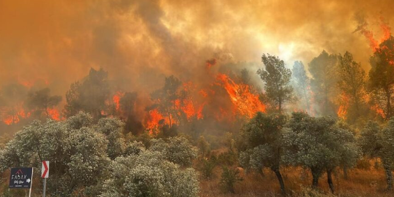 Bakan Yumaklı son durumu açıkladı: Orman yangınları kısmen kontrol altında!