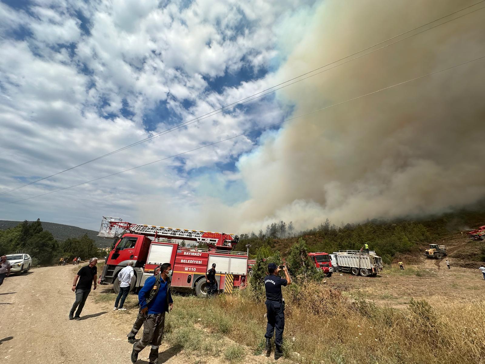 Bilecik'te orman yangını çıktı
