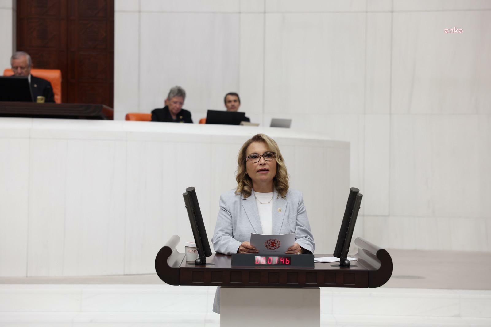 CHP'li Yanıkömeroğlu: "Karbon ticareti üzerinden hemen bir rant yaratılmış"