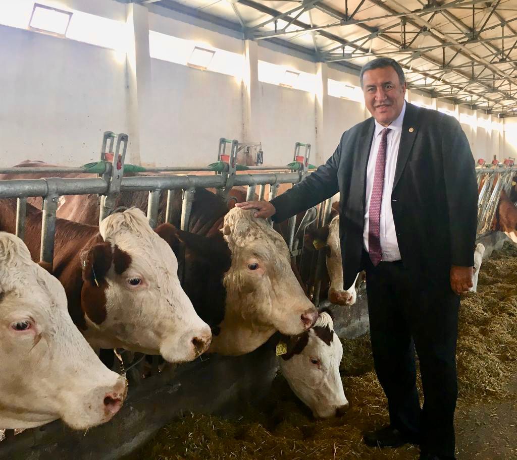 CHP'li Gürer uyardı: Şap alarmı! et ve süt fiyatları uçabilir