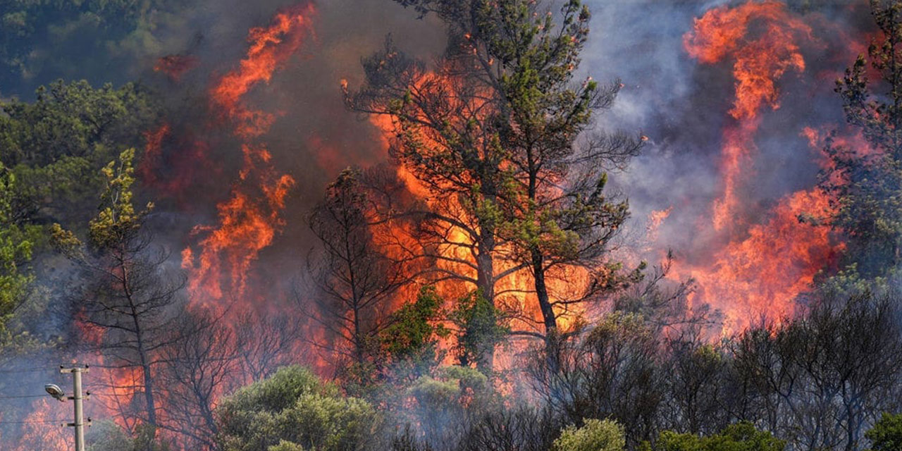 Askerler neden yangınlara müdahale için sahada yok