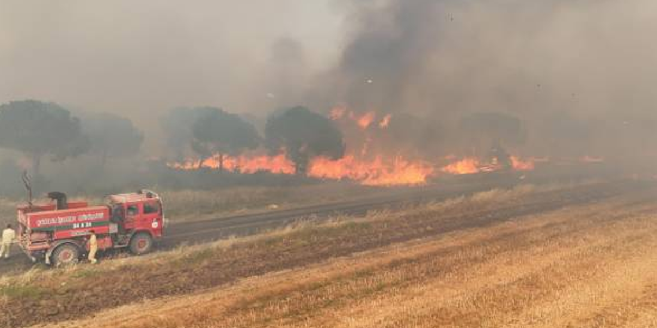 Silivri'de yangın ormanlık alana sıçradı! 50 hane boşaltıldı!