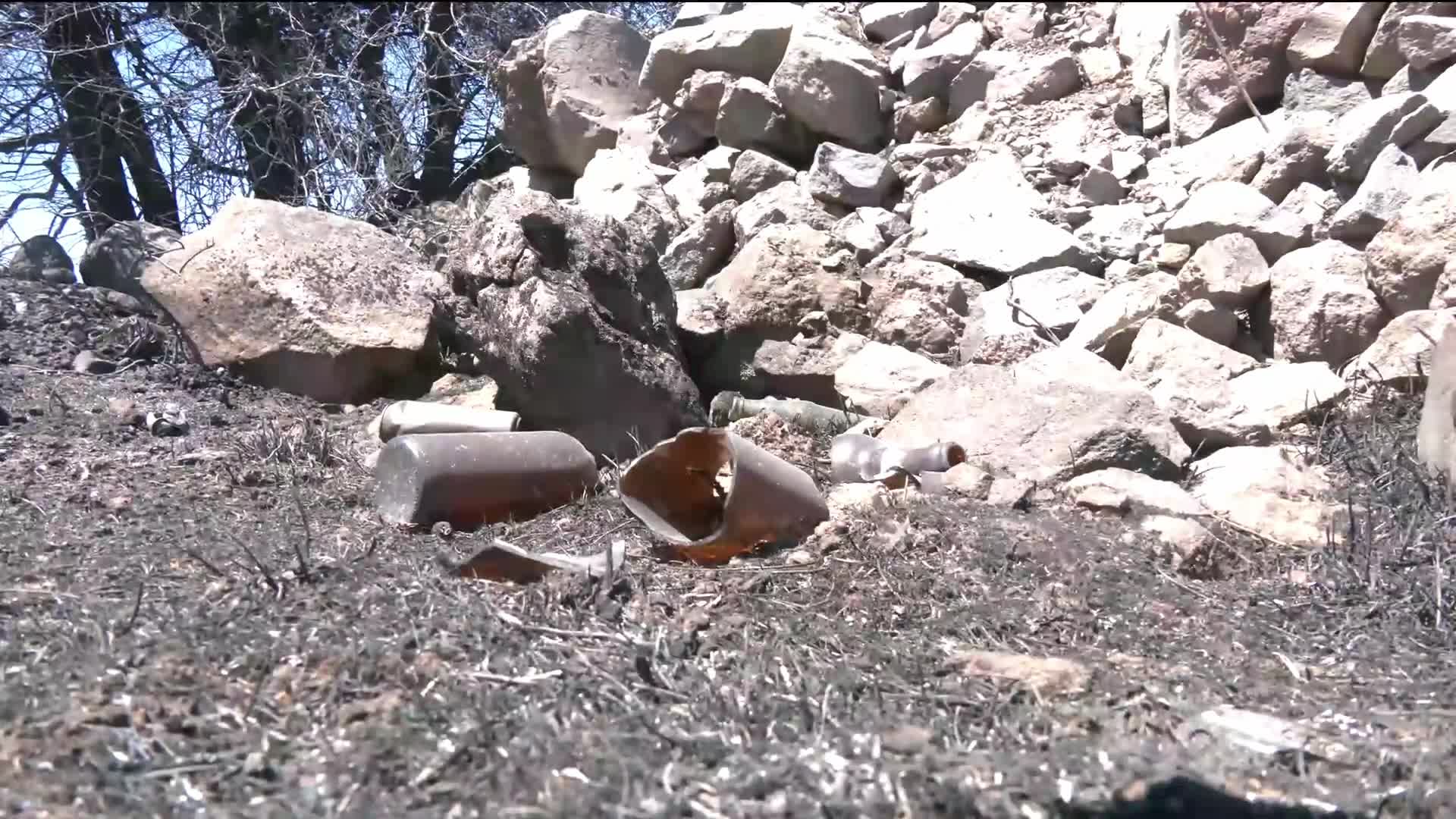 Çeşme'de binlerce hektarlık ormanlık alan kül oldu