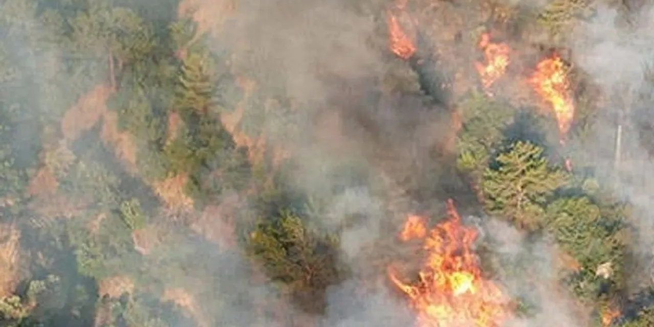 Manisa'da orman yangını: 3 mahalle tahliye ediliyor