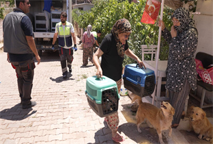 Seferihisar’dan yürekleri ısıtan bir haber: Yangından kurtarılan tavuklarına kavuştu