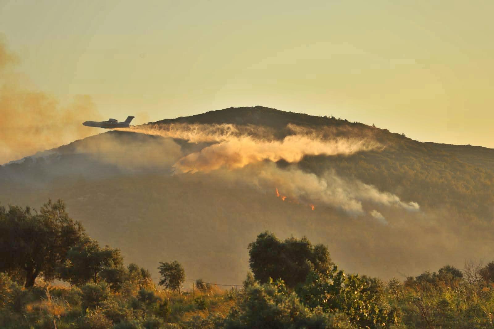 Başkan Dutlulu yangın bölgesinde: "Ormanlarımızı koruyan herkese minnettarız"