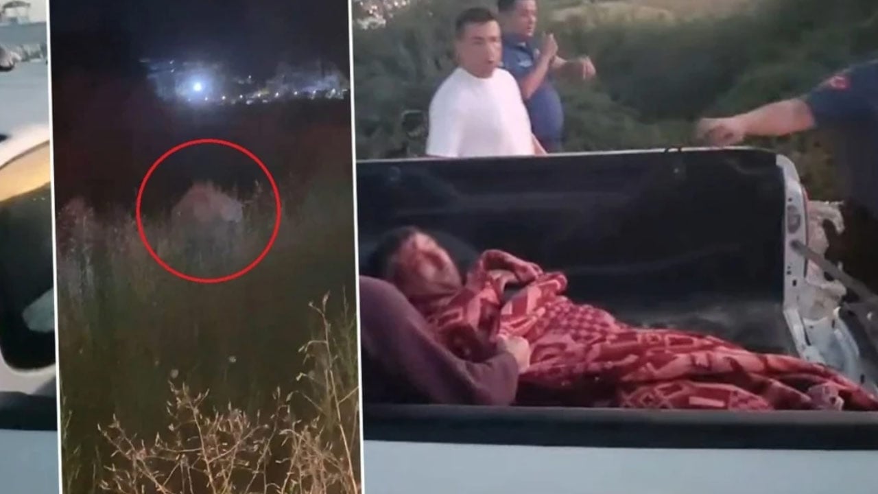 Antalya’da hayvanat bahçesinden kaçan aslanın acı sonu