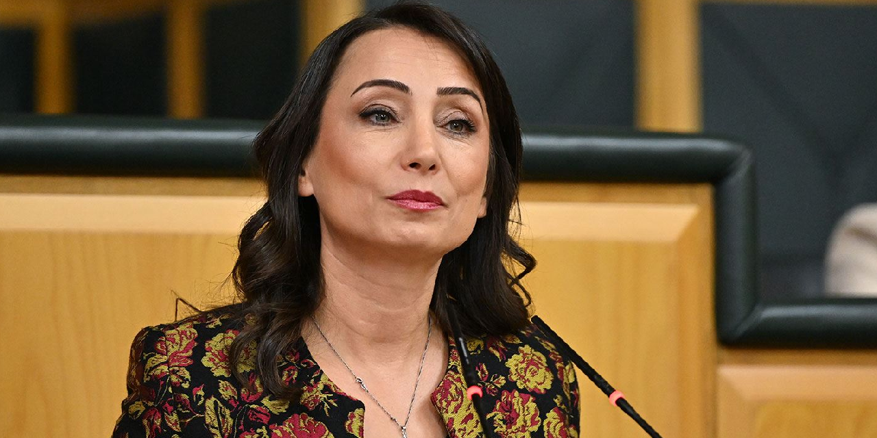 Hatimoğulları'ndan Zeydan Karalar'ın tutuklanmasına tepki: Demokratik Türkiye umuduna gölge düşer!
