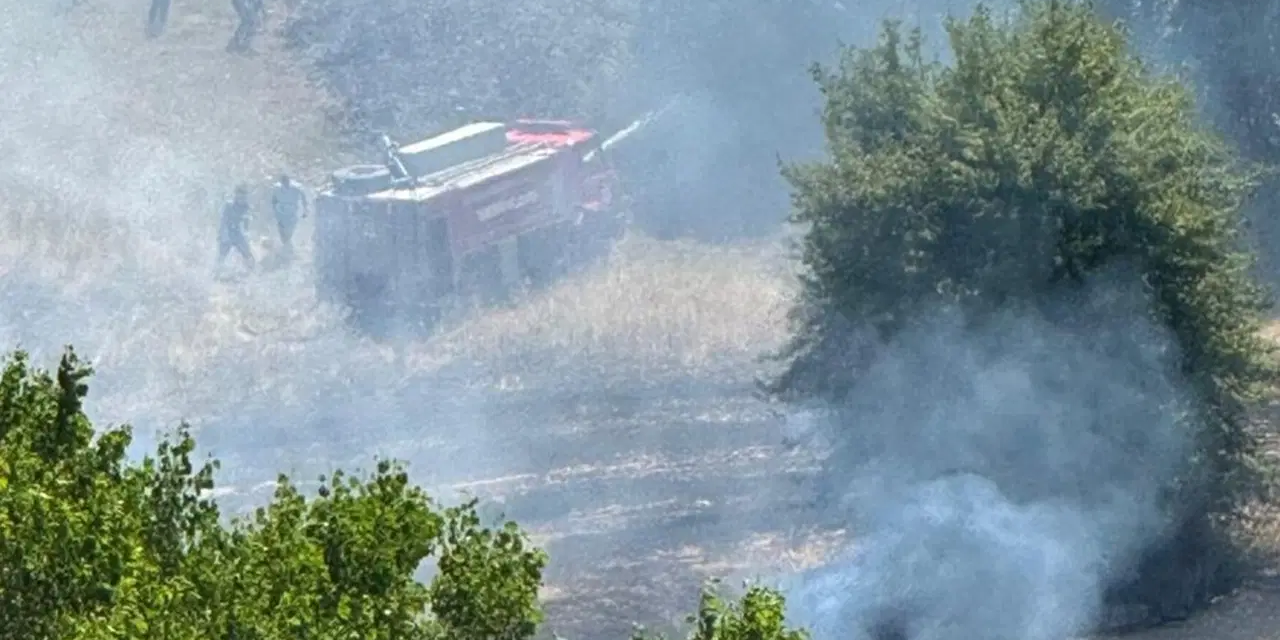 Kastamonu'da alevler ormana sıçradı! 10 hektar alan zarar gördü