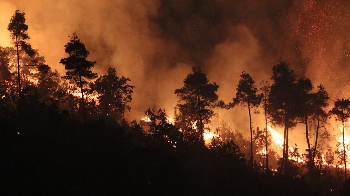 Lazkiye yangını sınırda: Yayladağı için alarm verildi