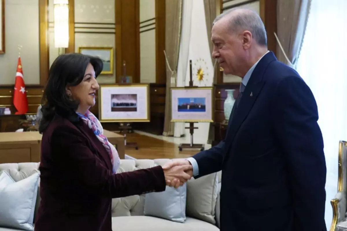 Erdoğan'ın sözleri DEM Parti'de nasıl değerlendirildi?