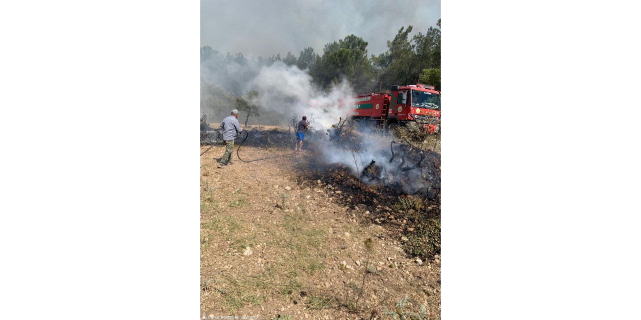 İzmir Urla'da yine yangın: 4 helikopter ve 2 uçakla müdahale