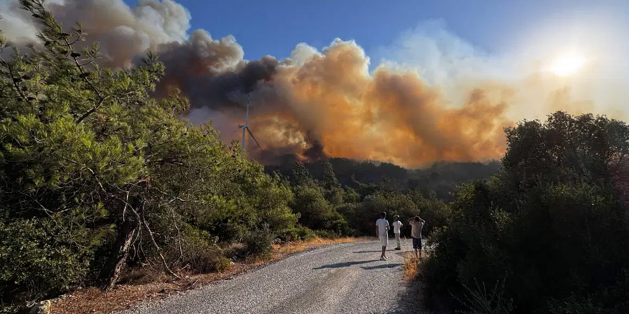Urla’da iki gündür süren büyük yangında son durum
