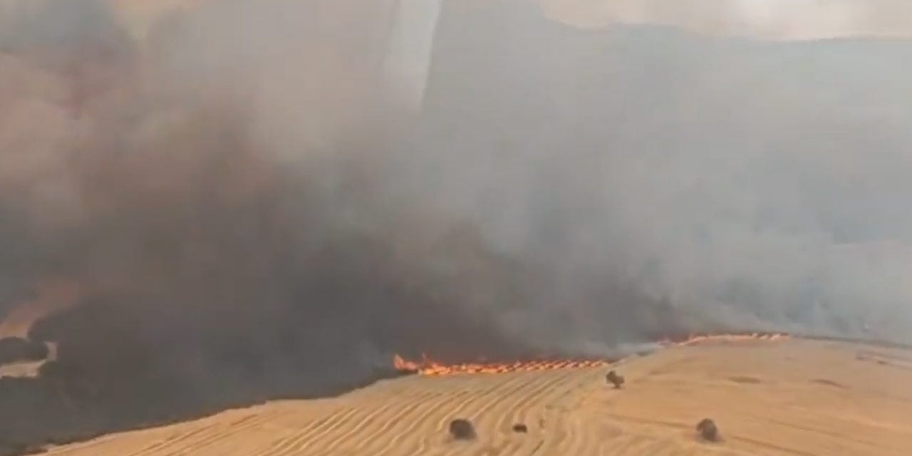 Manisa, Tekirdağ ve Çanakkale'de orman yangını