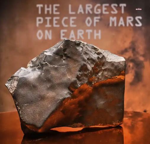 New York'ta inanılmaz müzayede: Mars'tan gelen taş 5,3 milyon dolar, 3 metrelik dinozor iskeleti 30,5 milyon dolar