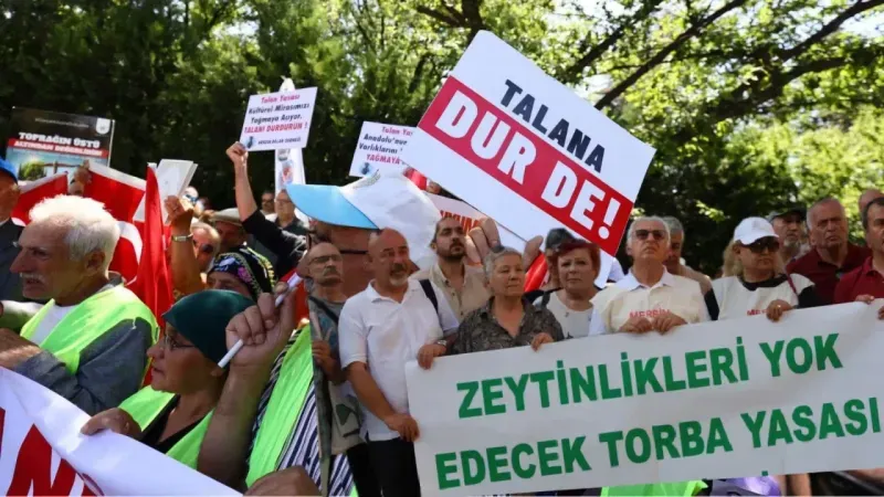 Zeytinlikleri madenciliğe açan yasa tasarısı Meclis'ten geçti