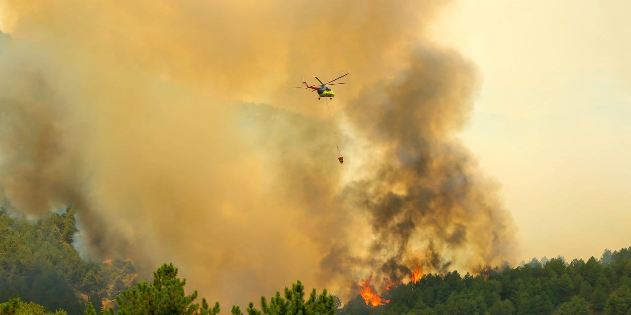 Uşak'taki orman yangını kısa sürede büyüdü