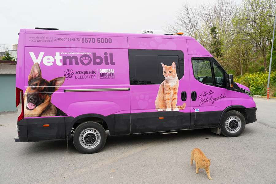 Ataşehir Belediyesi’nden sokak hayvanlarına modern tedavi üniteleri