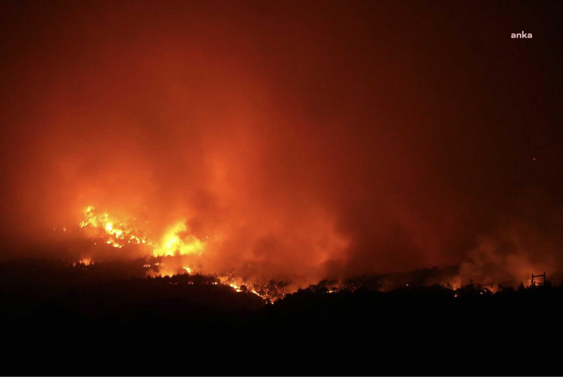 Sakarya'da başlayan yangın Bilecik'e sıçradı