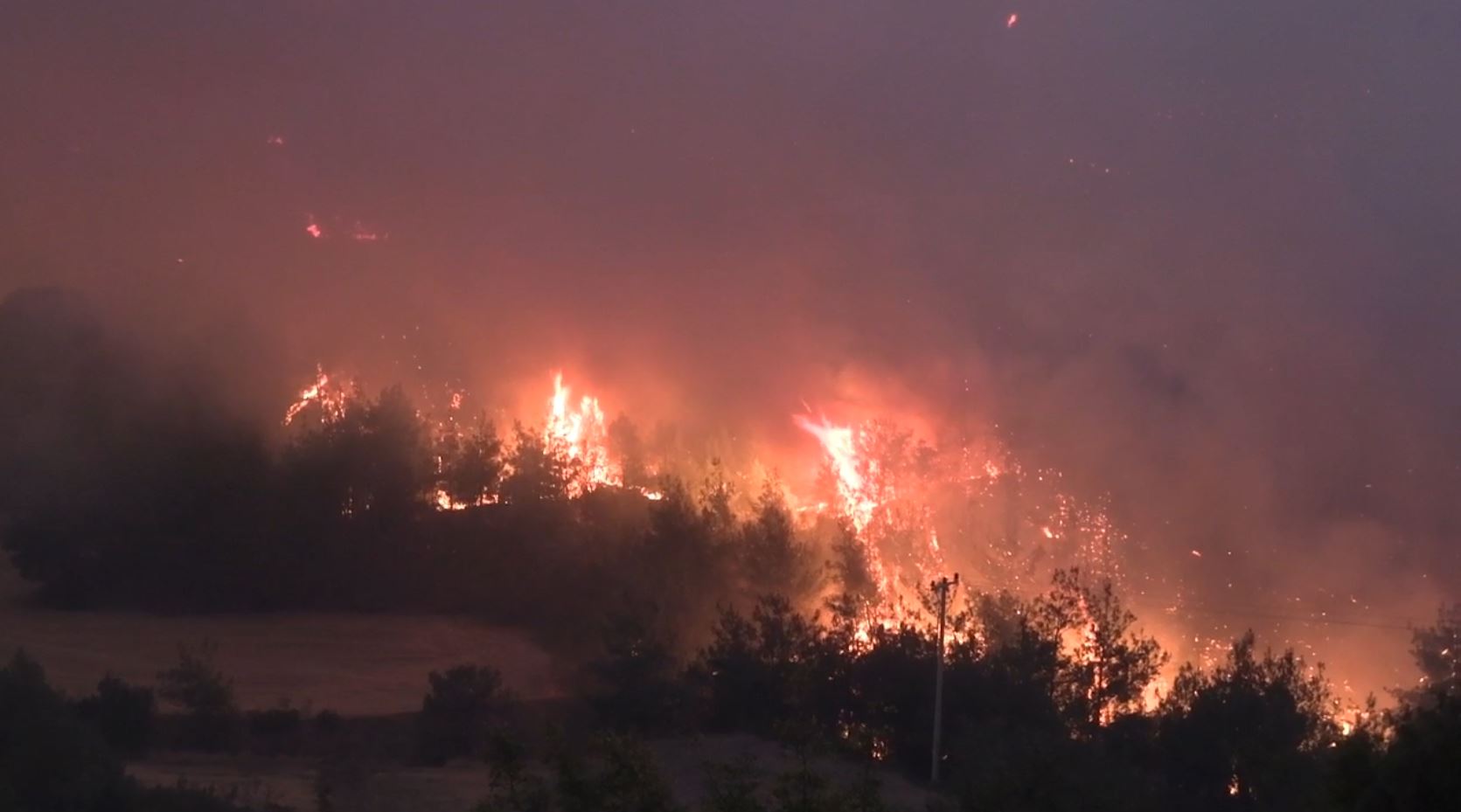 Sakarya yangını Bilecik'e sıçradı, 4 köy boşaltıldı
