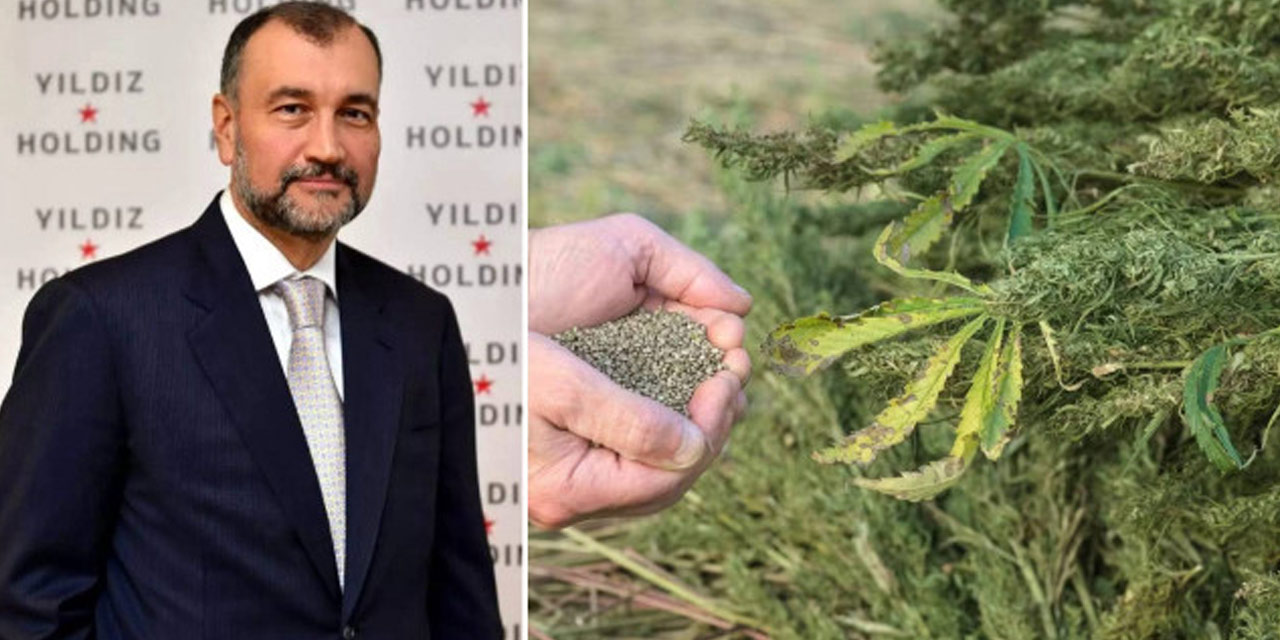 Murat Ülker itiraz etmişti ama kenevir yasası çıktı