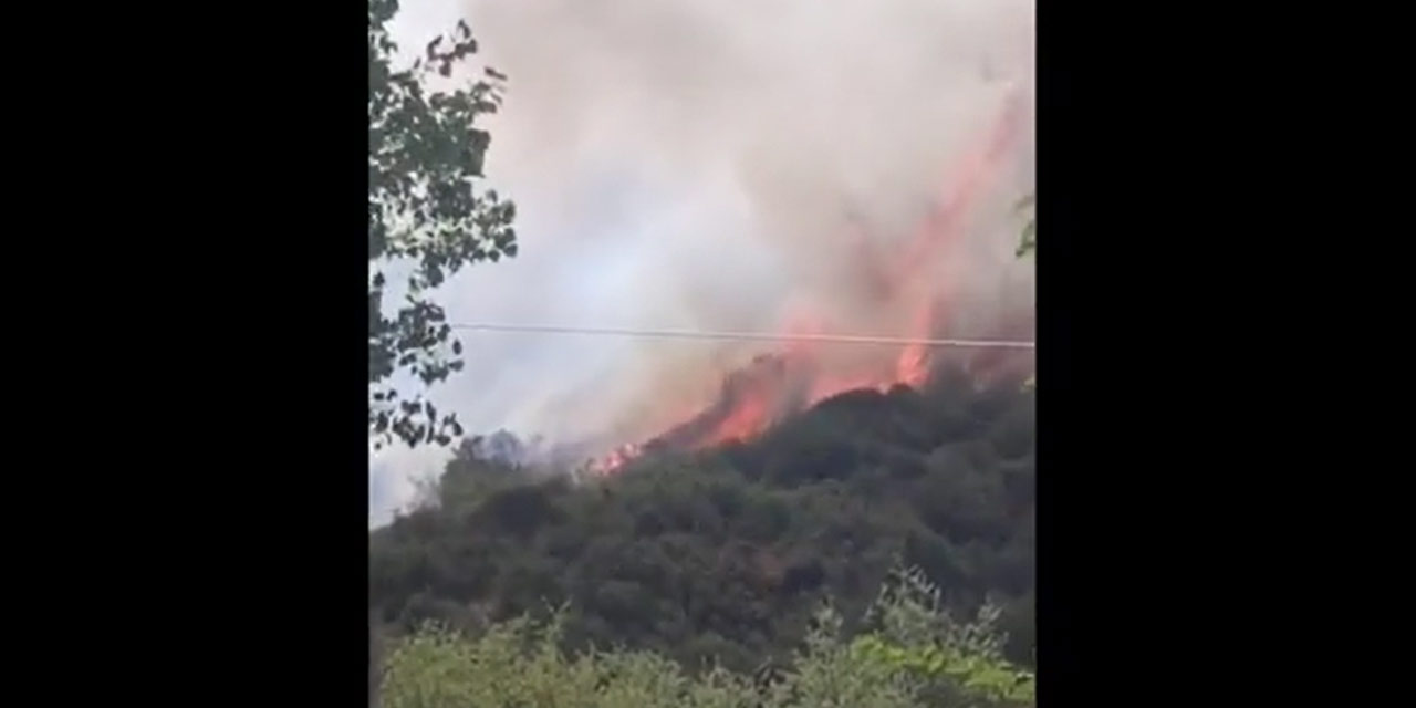 İstanbul'da ağaçlık alanda korkutan yangın