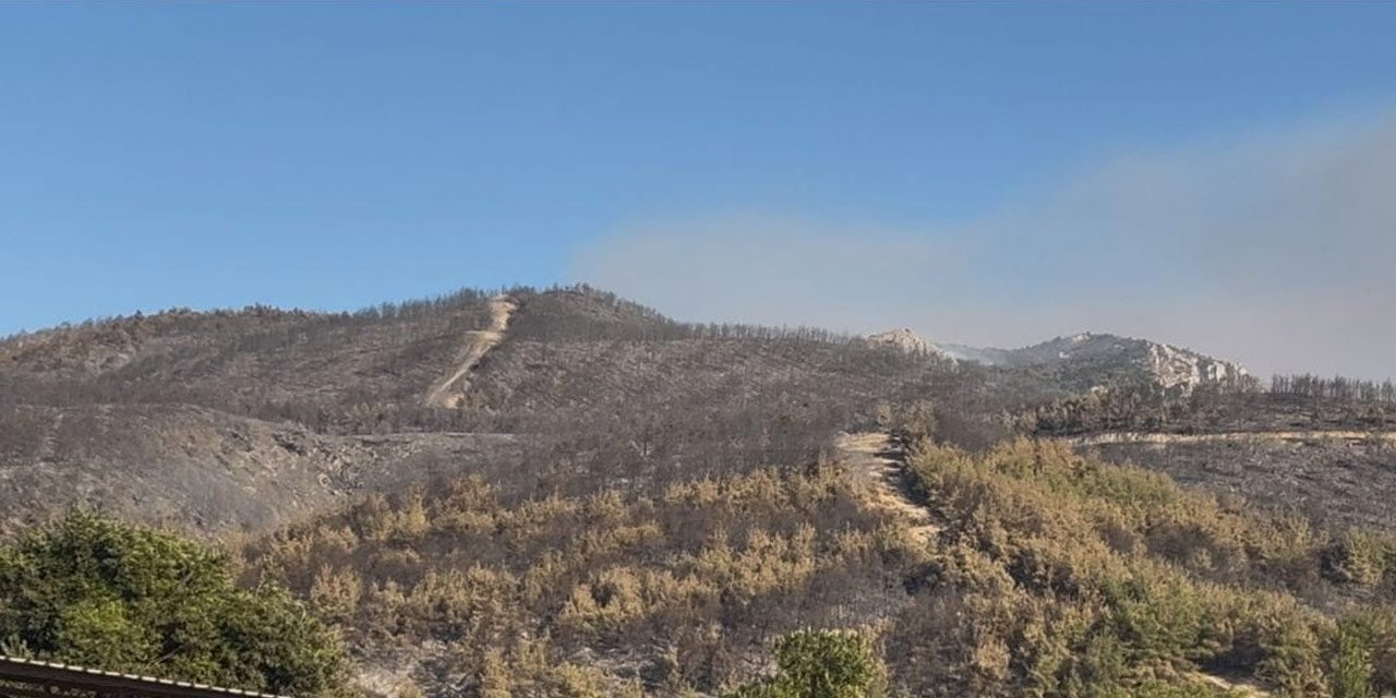 Sakarya’da başlayıp Bilecik'e sıçrayan büyük yangında son durum
