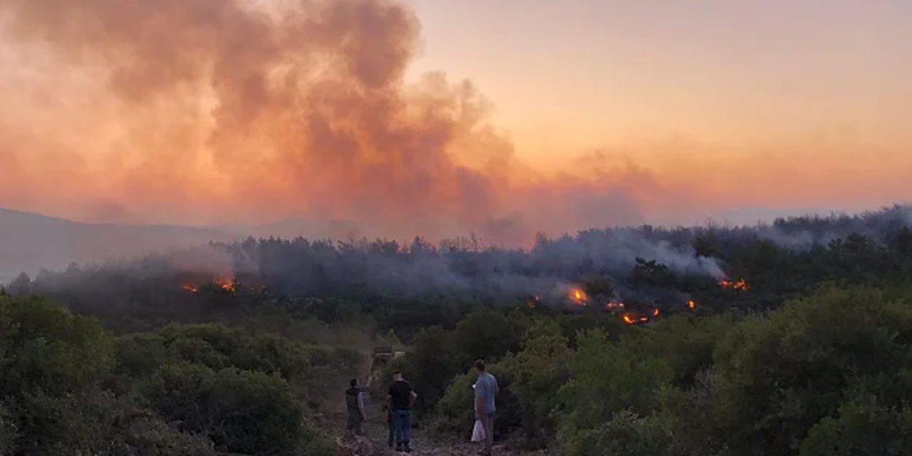 Urla’da yangın kontrol altına alındı