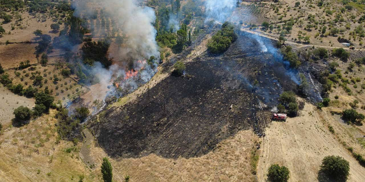 Manisa'da korkutan alevler: Orman yangını kısa sürede büyüdü!