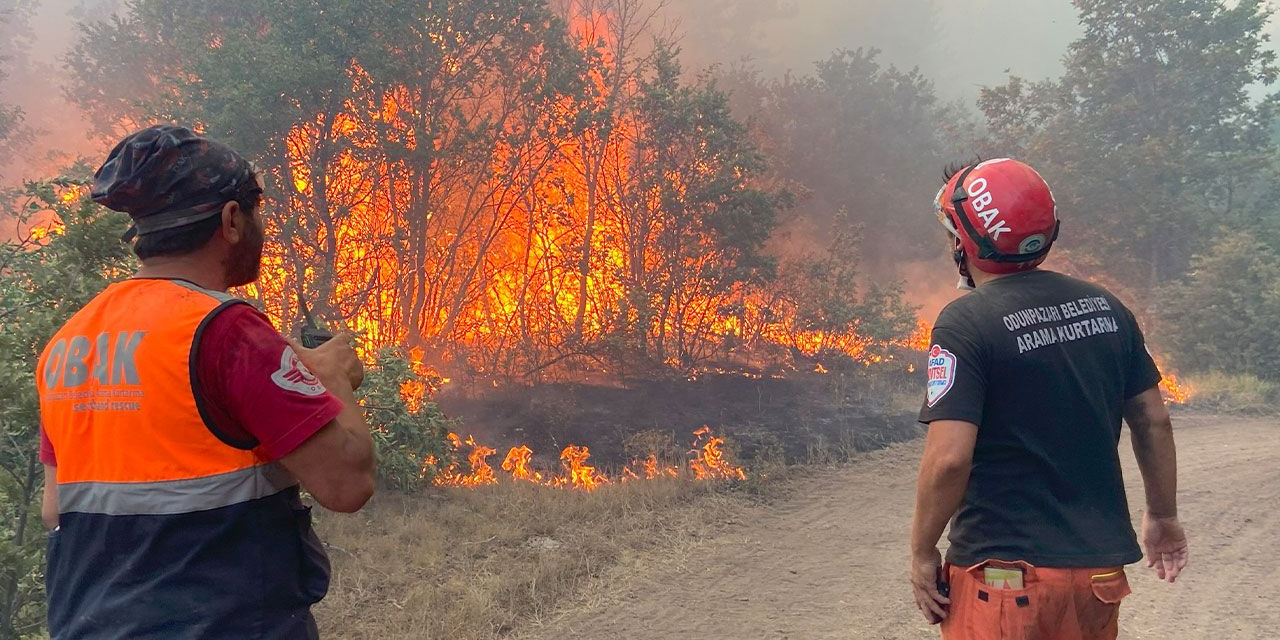 Orman işçilerinin ekip lideri açıkladı: Yukarıya doğru kaçmaya çalışmışlar