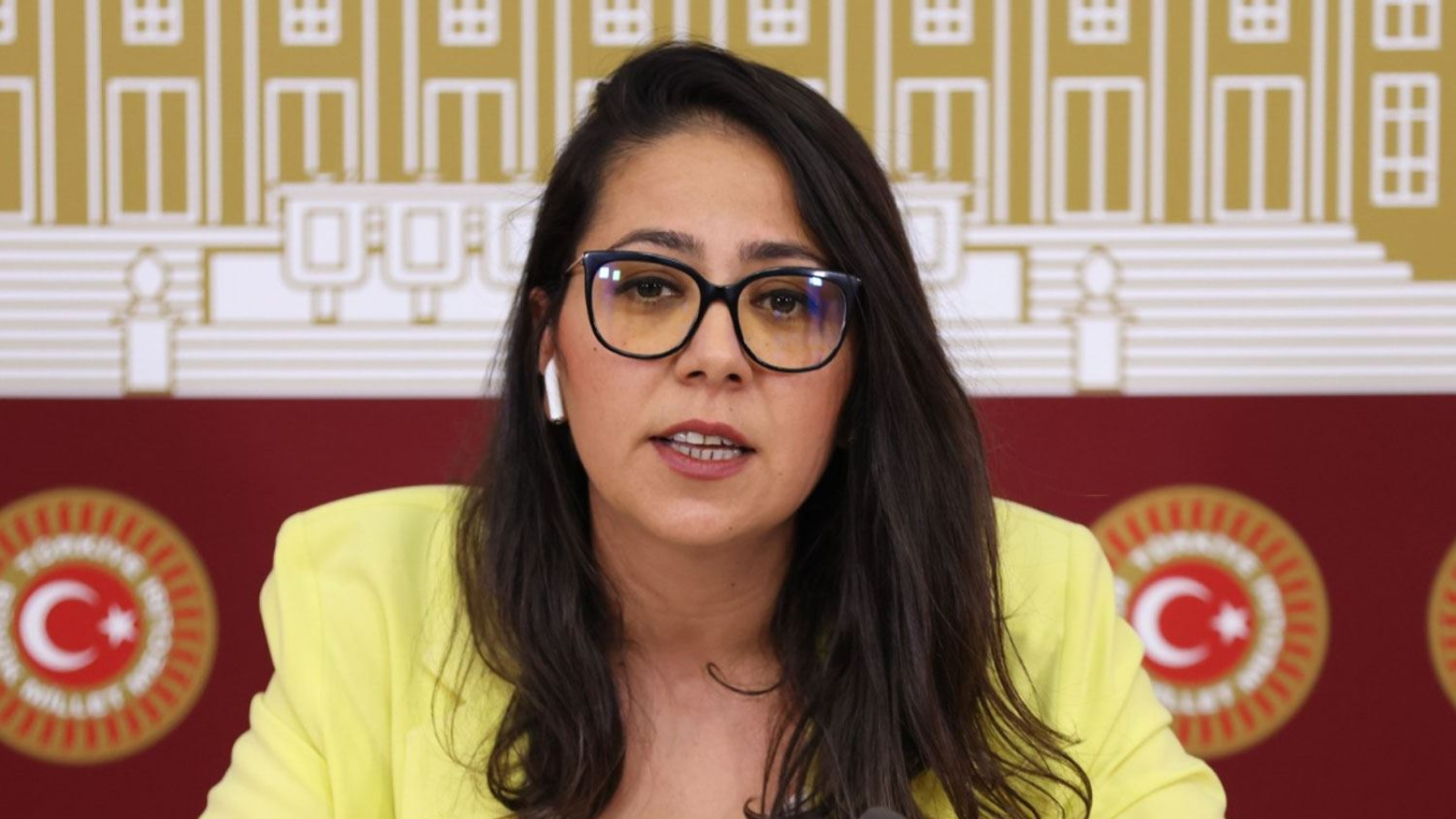 Sera Kadıgil: ‘Bu milletvekili maaşını hak ediyor ama halka değil şirketlere çalışıyor’