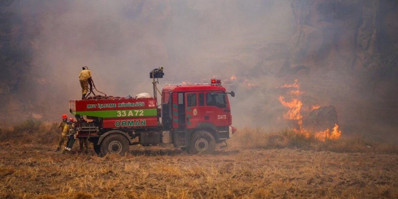 10 ayrı noktada alevlerle mücadele: Sakarya ve Bilecik'te enerji düşürüldü