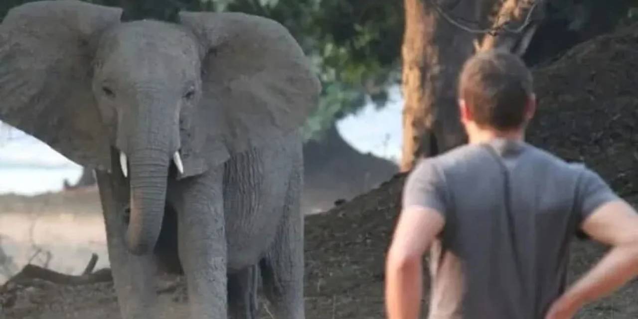 Fil saldırısı: Kurduğu lüks safari cenneti mezarı oldu