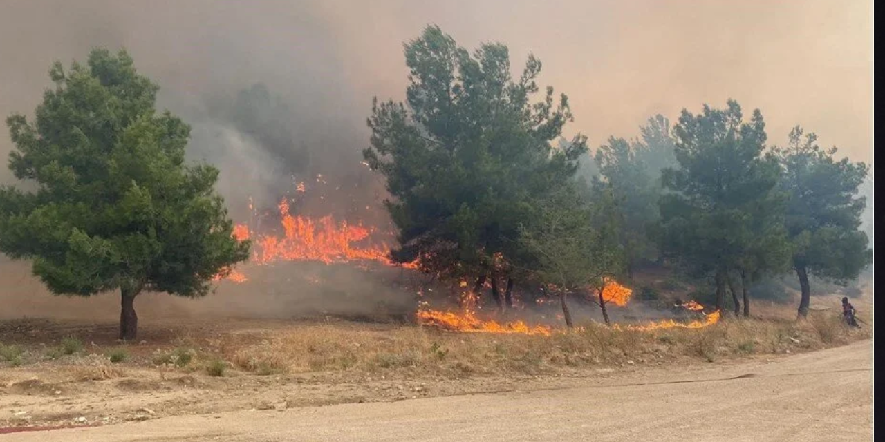 Yalova’da yangın alarmı: Ormanlara girişler yasaklandı