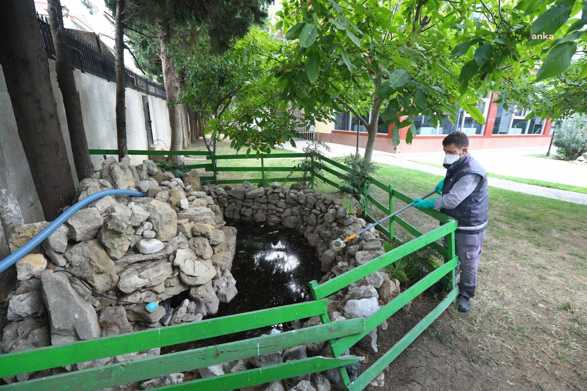 İBB Sağlık İşleri Dairesi Başkanlığından uyarı: Kontrolsüz bırakılan yemler soruna yol açıyor