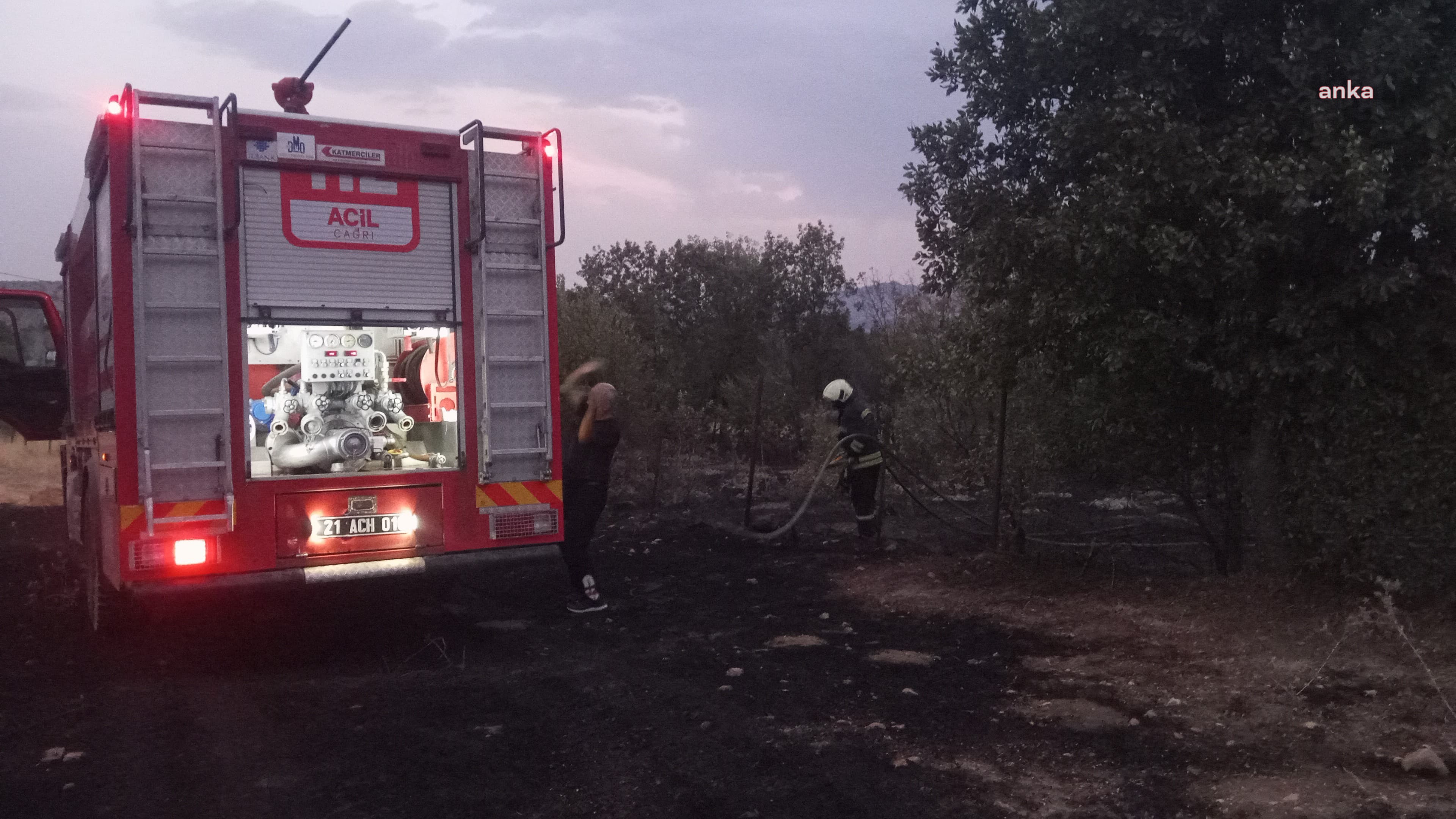 Diyarbakır’da ormanlık alanda çıkan yangında 35 hektar kül oldu