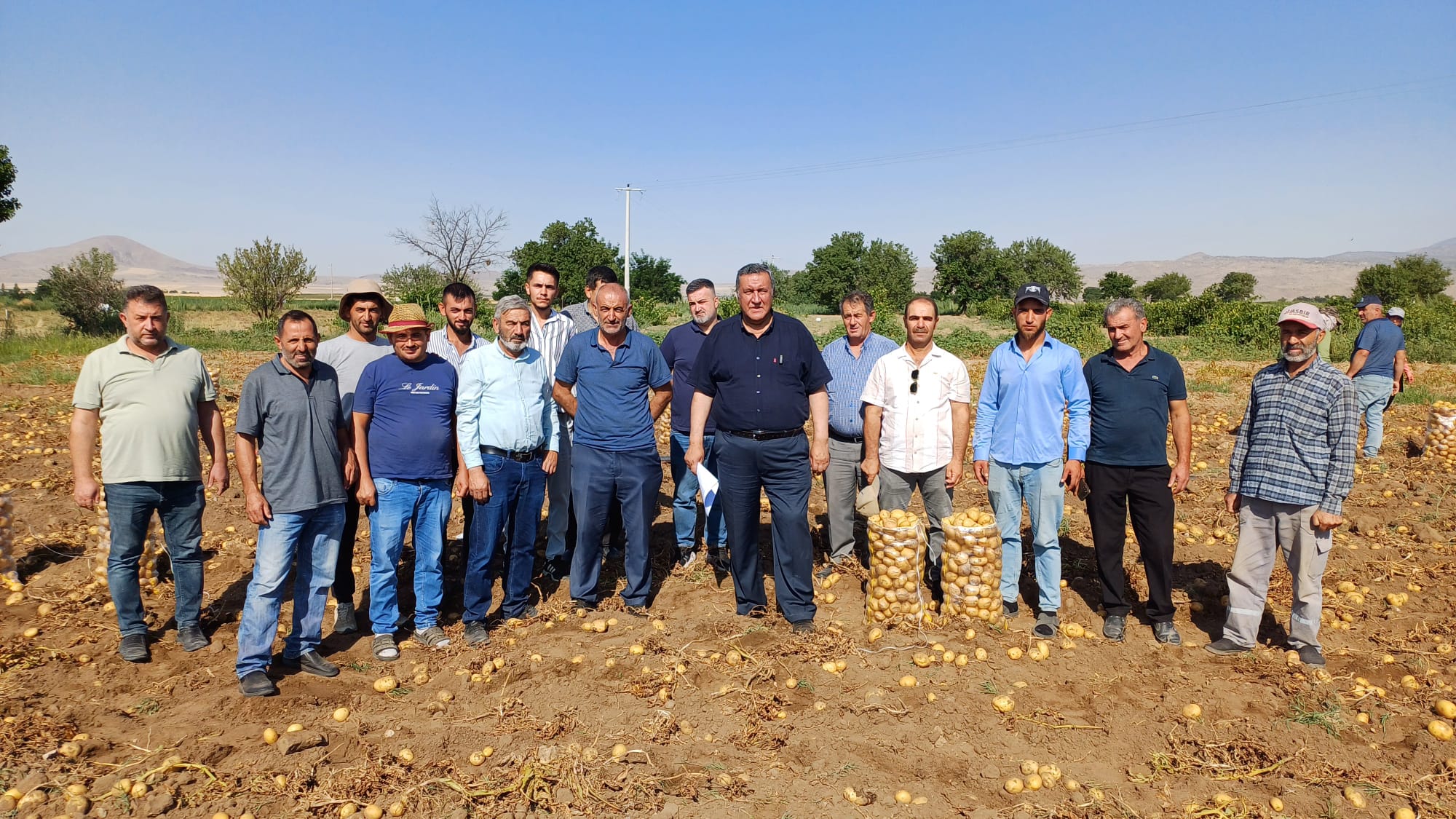 Patates üreticisi iflasın eşiğinde: Tarlada kalan ürün, markette 6 katı fiyata satılıyor