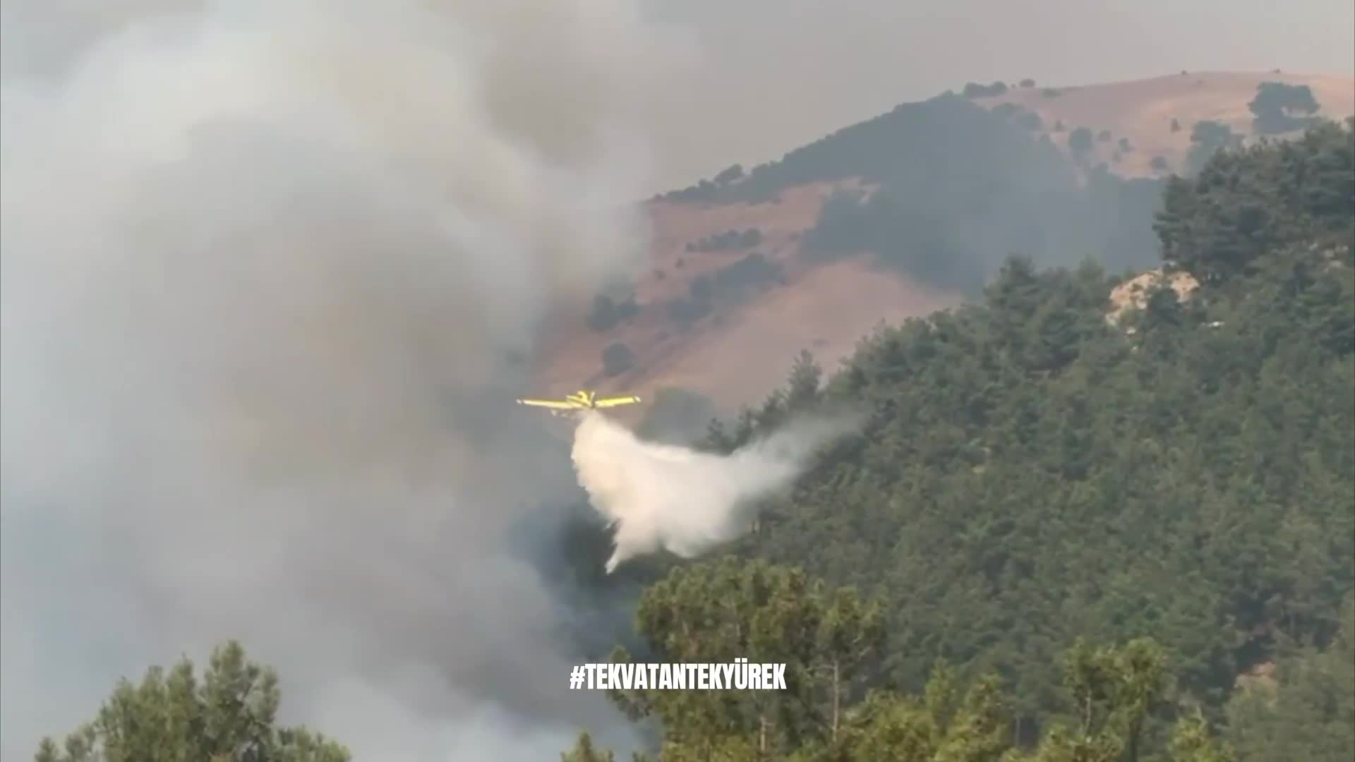 Bakan Yerlikaya, Bursa ve Karabük'teki orman yangınlarında görevli personel ve araç sayısını açıkladı