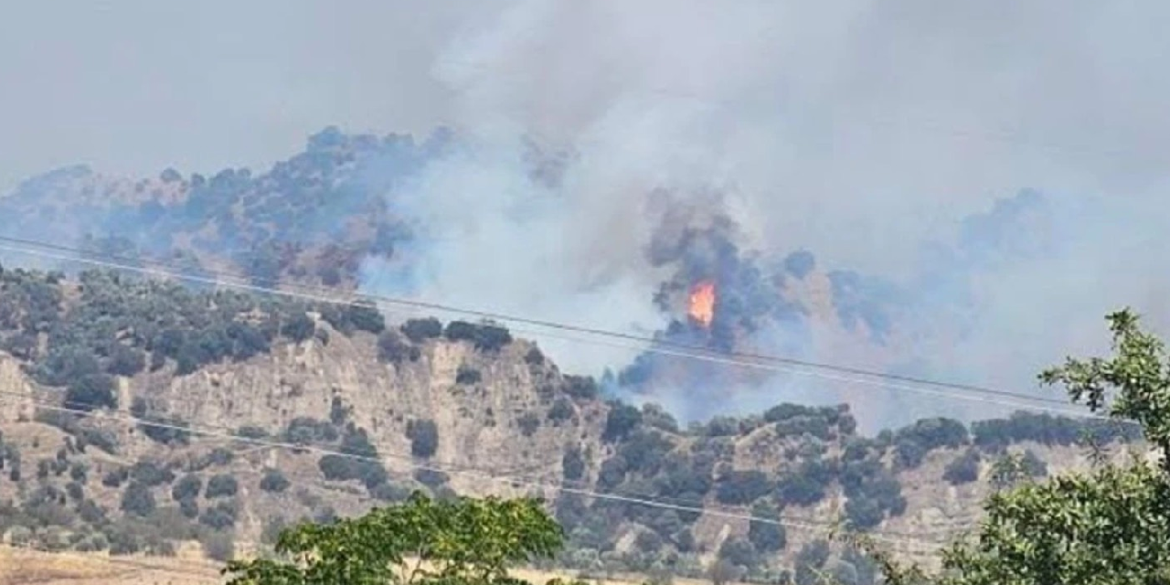 Aydın'da ağaçlık alanda çıkan yangın, ormana sıçradı!